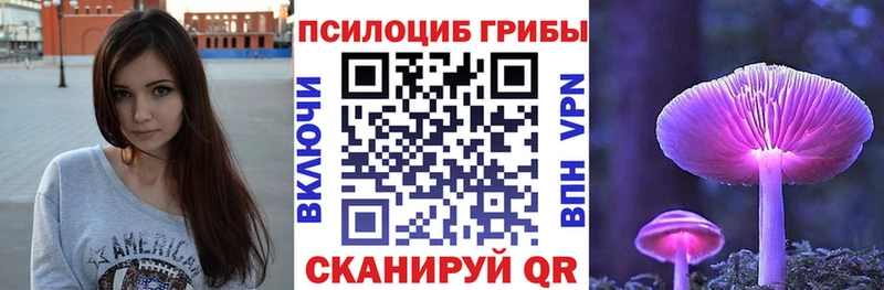 Галлюциногенные грибы Psilocybe Кировск