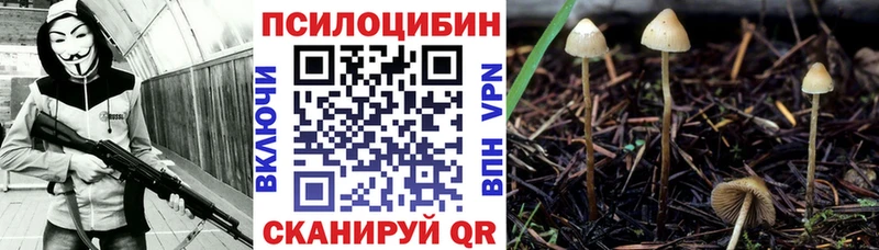 Купить  Кировск  Псилоцибиновые грибы GOLDEN TEACHER 